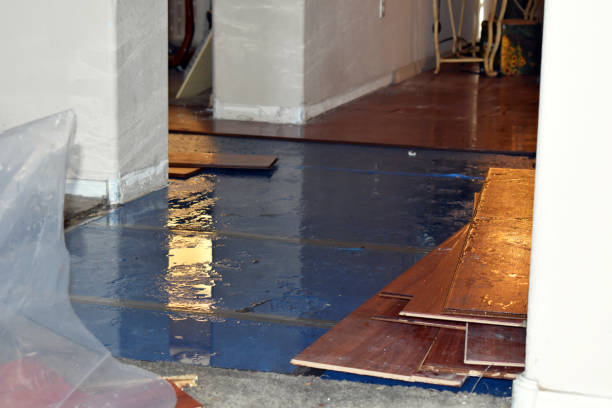 Professional Basement Flood Cleanup technician working in Albion, PA